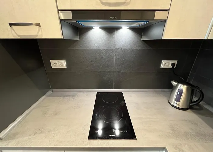 Ar Rezidencia Fibichova Apartamento *